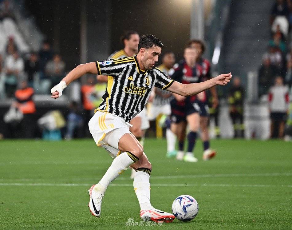 我们看到了 我们看到了